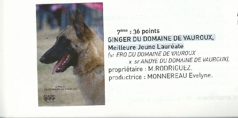 Ginger du Domaine de Vauroux